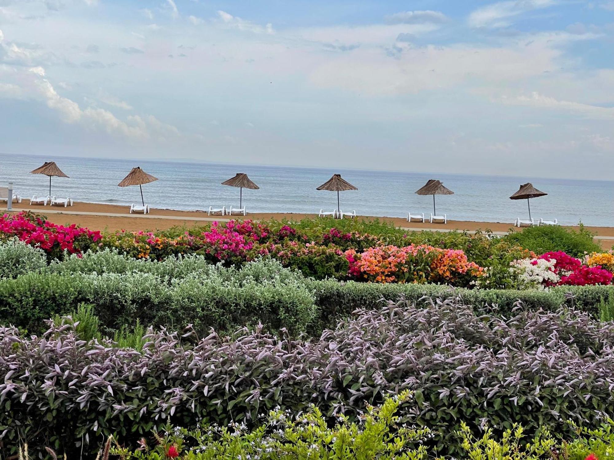 Sweetness Apartment By The Sea Vokolidha Exterior photo